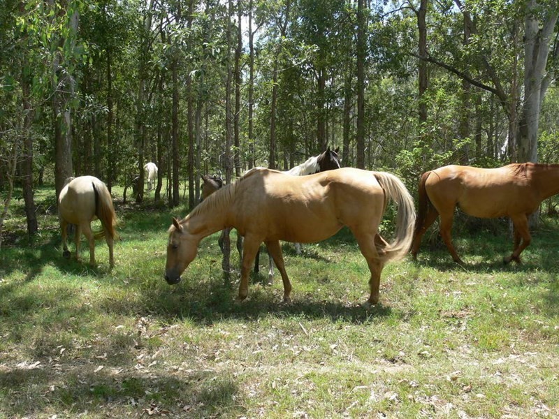 Lot 2 Highland Street, Esk QLD 4312