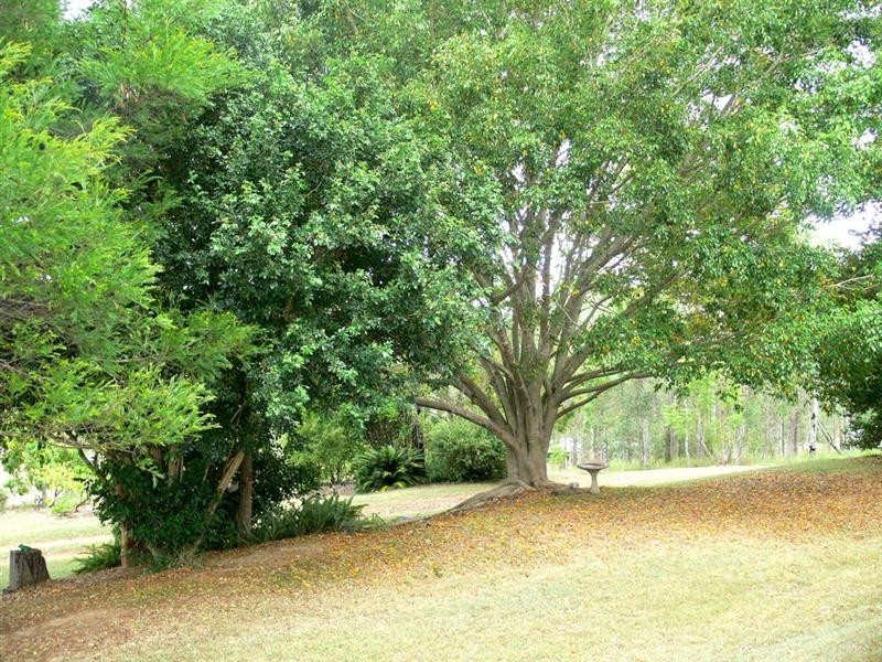 Redbank Creek QLD 4312