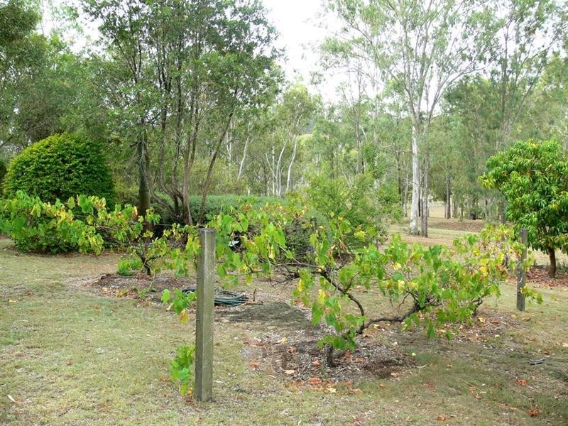 Redbank Creek QLD 4312