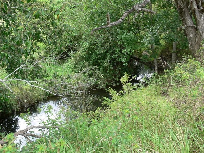 113 Chaille Road, Esk QLD 4312