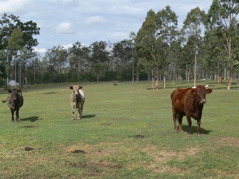 Mount Hallen QLD 4312