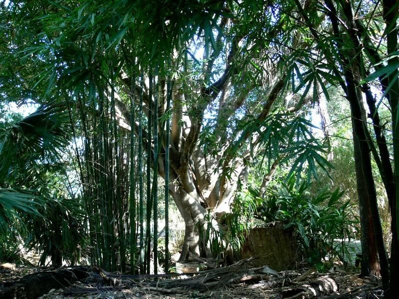 Esk QLD 4312