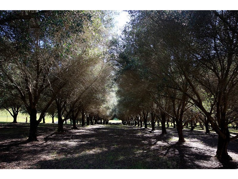 Redbank Creek QLD 4312