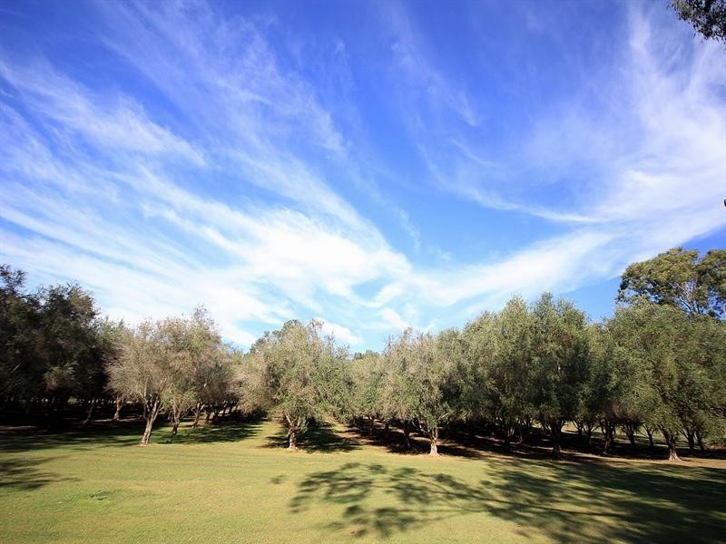 Redbank Creek QLD 4312