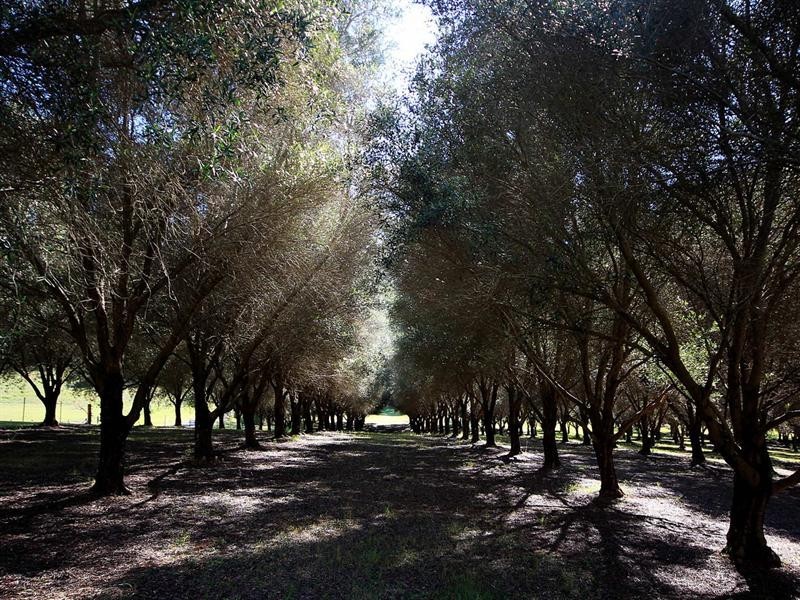 Redbank Creek QLD 4312