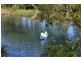 252 Buaraba Creek Road, Buaraba QLD 4311