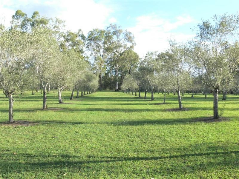 Coominya QLD 4311