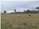 Lot 7 Esk Kilcoy Road, Kilcoy QLD 4515