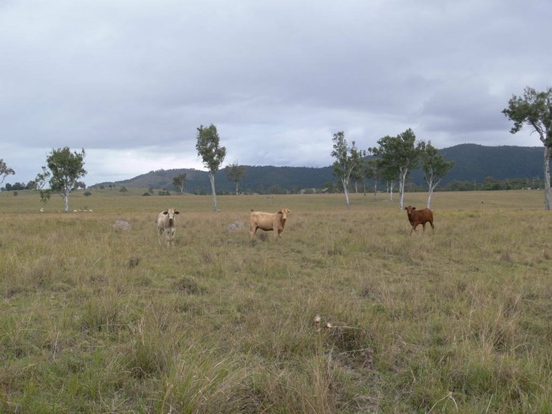 Lot 7 Esk Kilcoy Road, Kilcoy QLD 4515