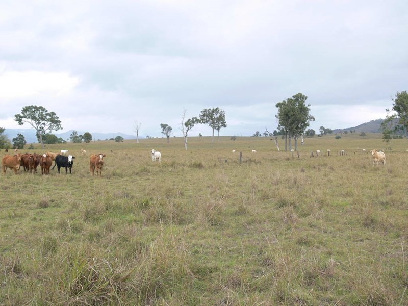 Lot 7 Esk Kilcoy Road, Kilcoy QLD 4515