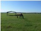 Wivenhoe Pocket QLD 4306