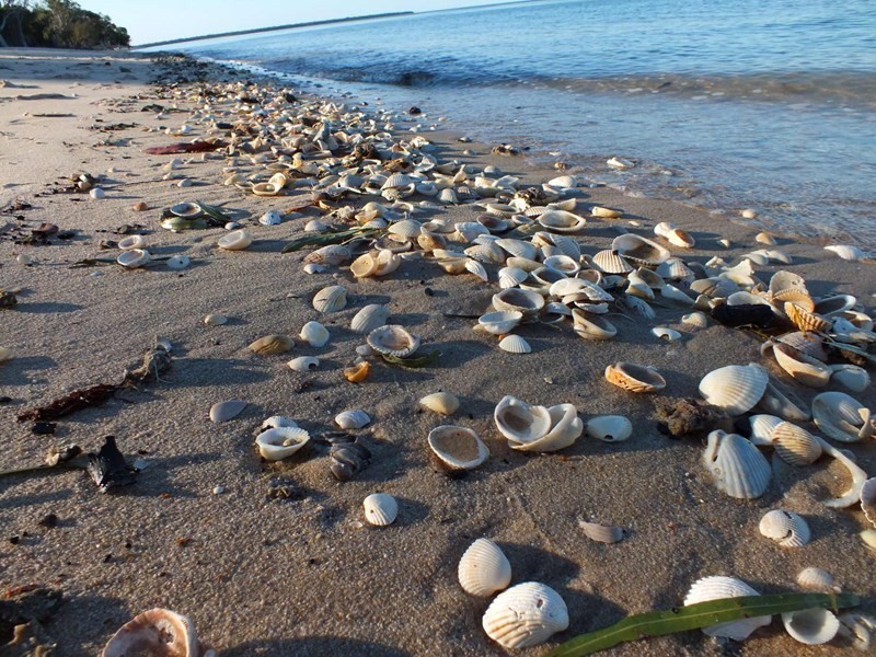 40 Orchid Drive, Burrum Heads QLD 4659