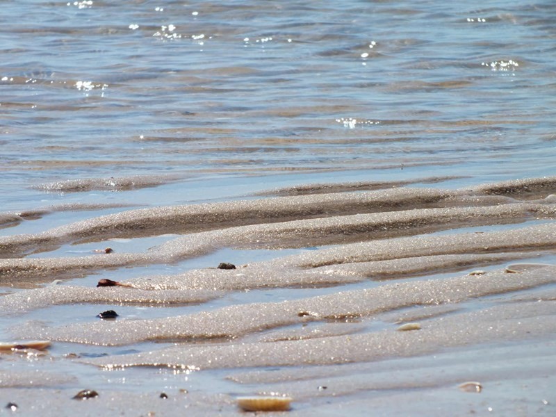 40 Orchid Drive, Burrum Heads QLD 4659