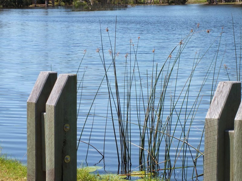 40 Orchid Drive, Burrum Heads QLD 4659