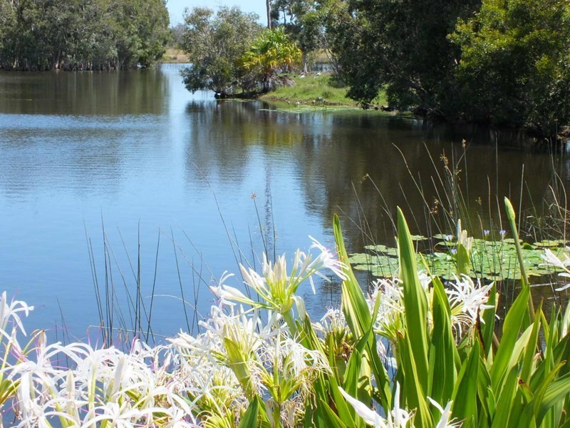 40 Orchid Drive, Burrum Heads QLD 4659