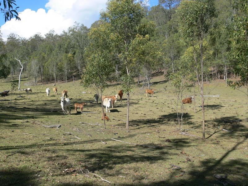 Mount Hallen QLD 4312