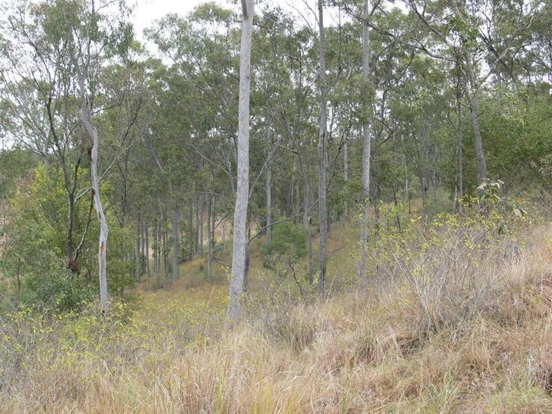 2241 Esk Crows Nest Road, Eskdale QLD 4312