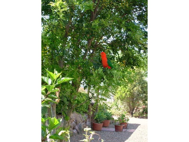 46 Angledale Lane, Toogoolawah QLD 4313