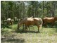 Esk QLD 4312