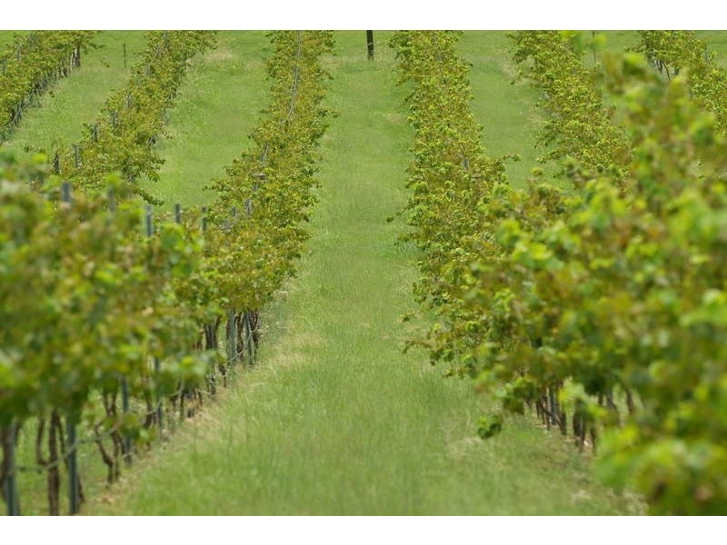 703 Mount Kilcoy Road, Mount Kilcoy QLD 4515