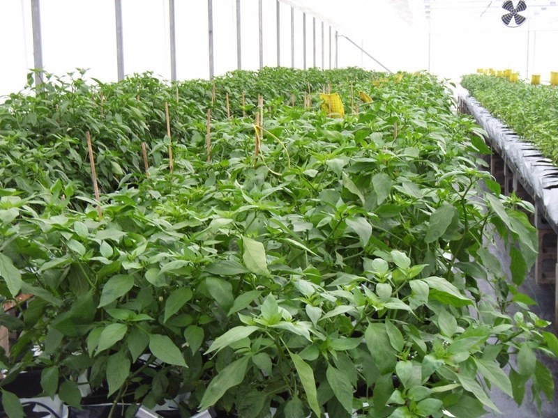 1 Quarry Road, Churchable QLD 4311