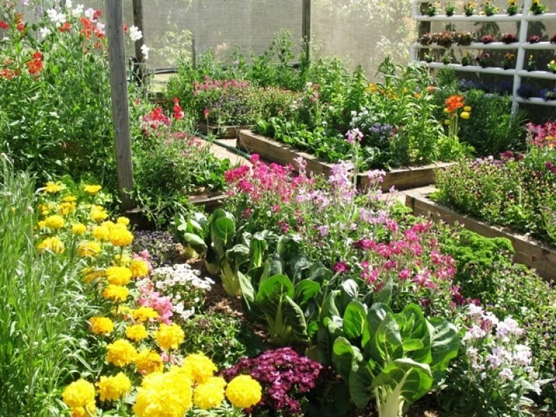 1199 Stanley Pocket Road, Crossdale QLD 4312