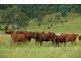 Bryden QLD 4312