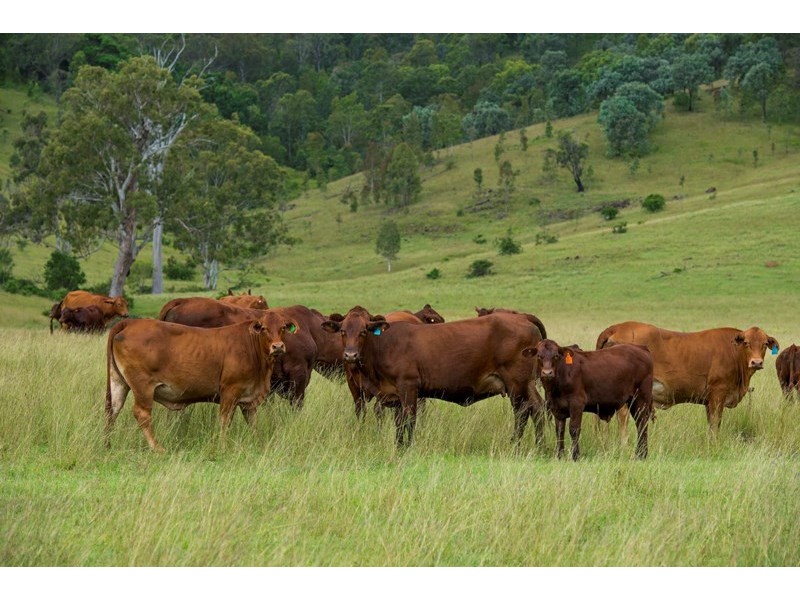 Bryden QLD 4312