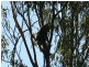 Esk QLD 4312