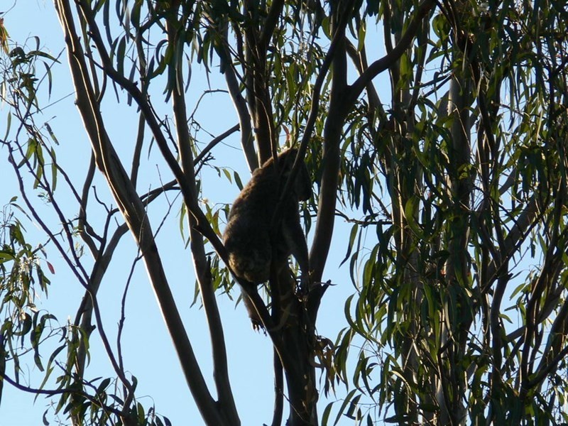 Esk QLD 4312