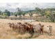 Coal Creek QLD 4312