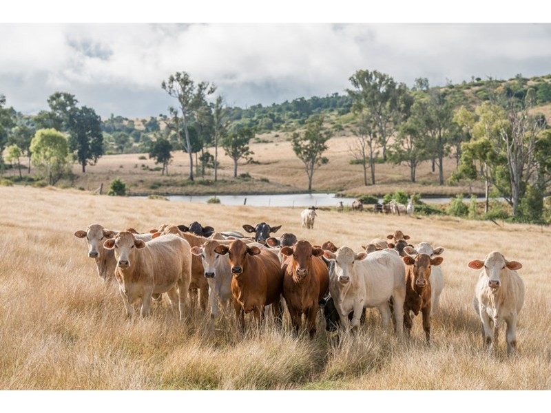 Coal Creek QLD 4312