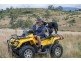 Coal Creek QLD 4312