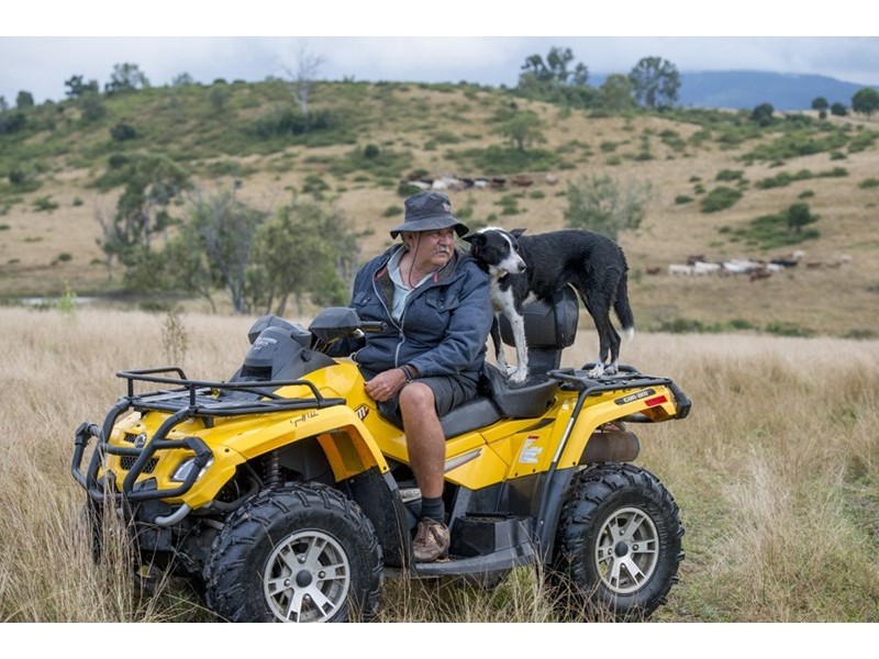 Coal Creek QLD 4312