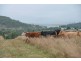 Coal Creek QLD 4312