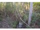 Lot 174 Nottingham Drive, Mount Hallen QLD 4312