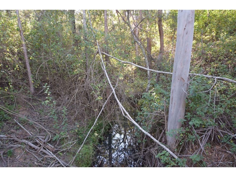 Lot 174 Nottingham Drive, Mount Hallen QLD 4312