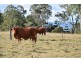 Lot 1 Brisbane Valley Highway, Wanora QLD 4306