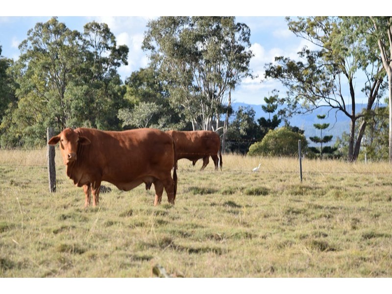 Lot 1 Brisbane Valley Highway, Wanora QLD 4306