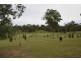 31 Argyle Court, Mount Hallen QLD 4312