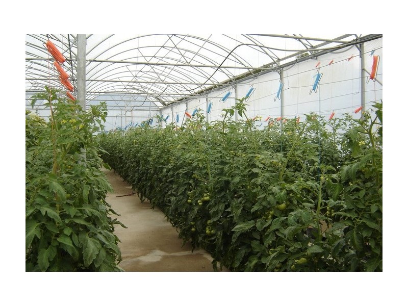 2684 Gatton Esk Road, Mount Hallen QLD 4312