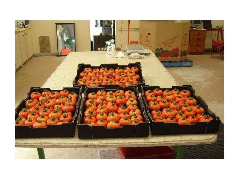 2684 Gatton Esk Road, Mount Hallen QLD 4312