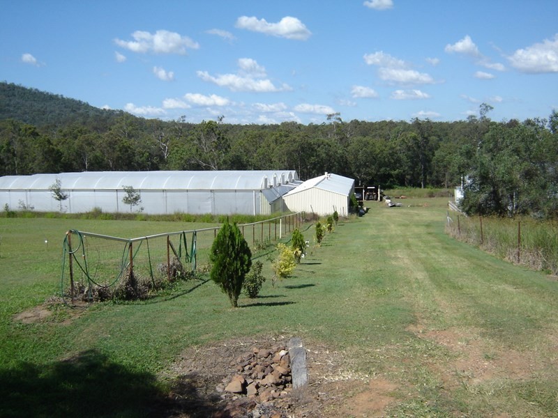 2684 Gatton Esk Road, Mount Hallen QLD 4312