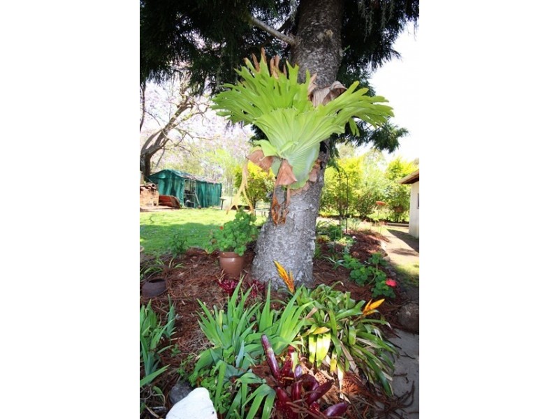 11 Drem Street, Toogoolawah QLD 4313