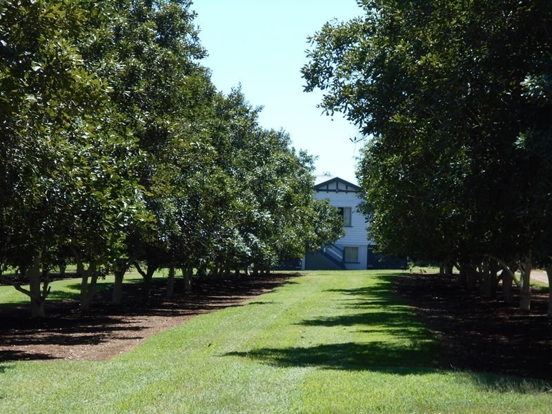 Blackbutt QLD 4306