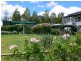 Blackbutt QLD 4306