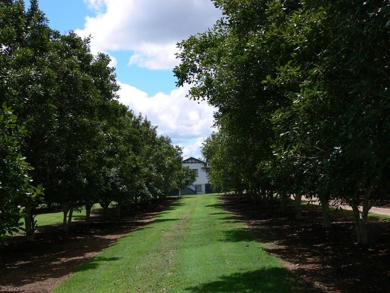 Blackbutt QLD 4306