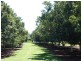 Blackbutt QLD 4306