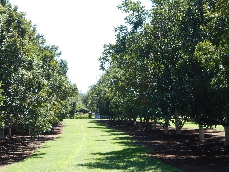Blackbutt QLD 4306