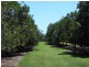 Blackbutt QLD 4306